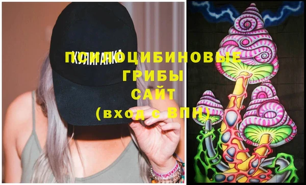 прущий лед Козловка