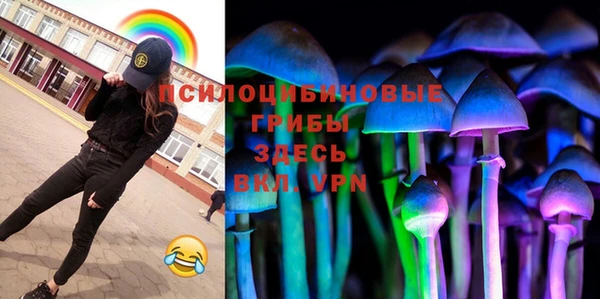 прущий лед Козловка