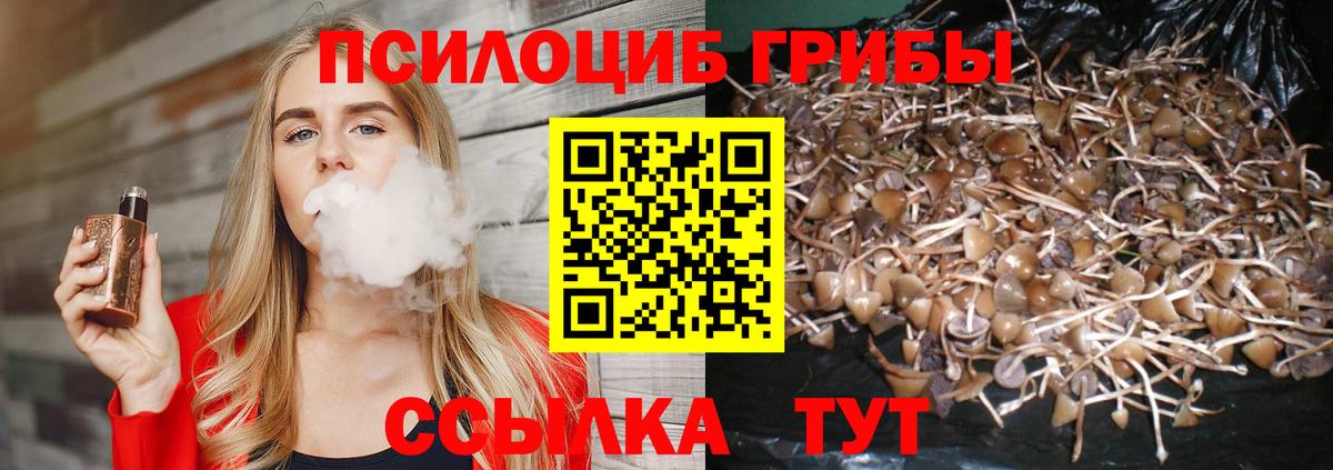 Галлюциногенные грибы Psilocybine cubensis Невинномысск